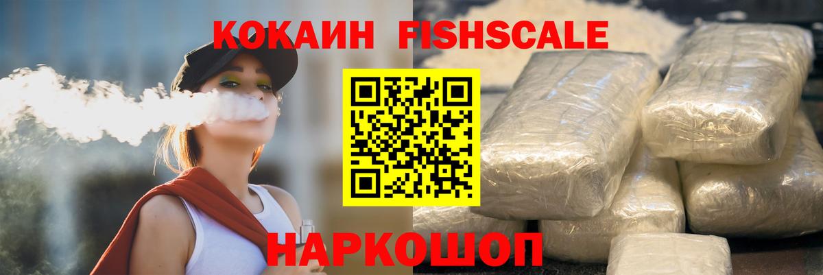 COCAIN Fish Scale  Вход с VPN  Новочеркасск 