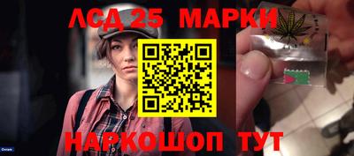 винт Сланцы