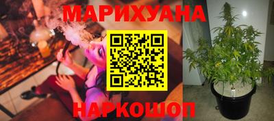 винт Сланцы