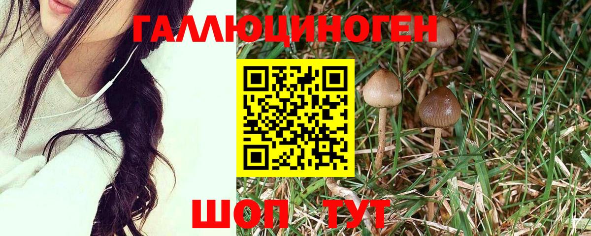 Меф   Гашиш  Новочеркасск  МЕТАМФЕТАМИН  Экстази  A-PVP СК   Вход с VPN  Марихуана 