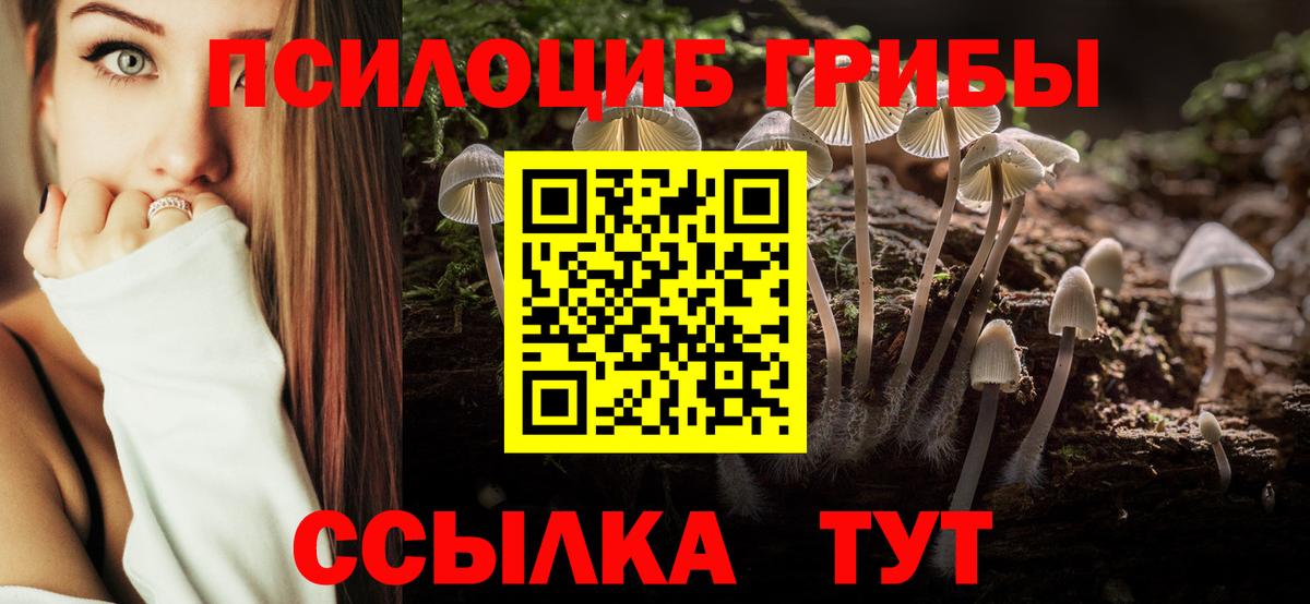 Галлюциногенные грибы Psilocybe  Вход с VPN  Новочеркасск 